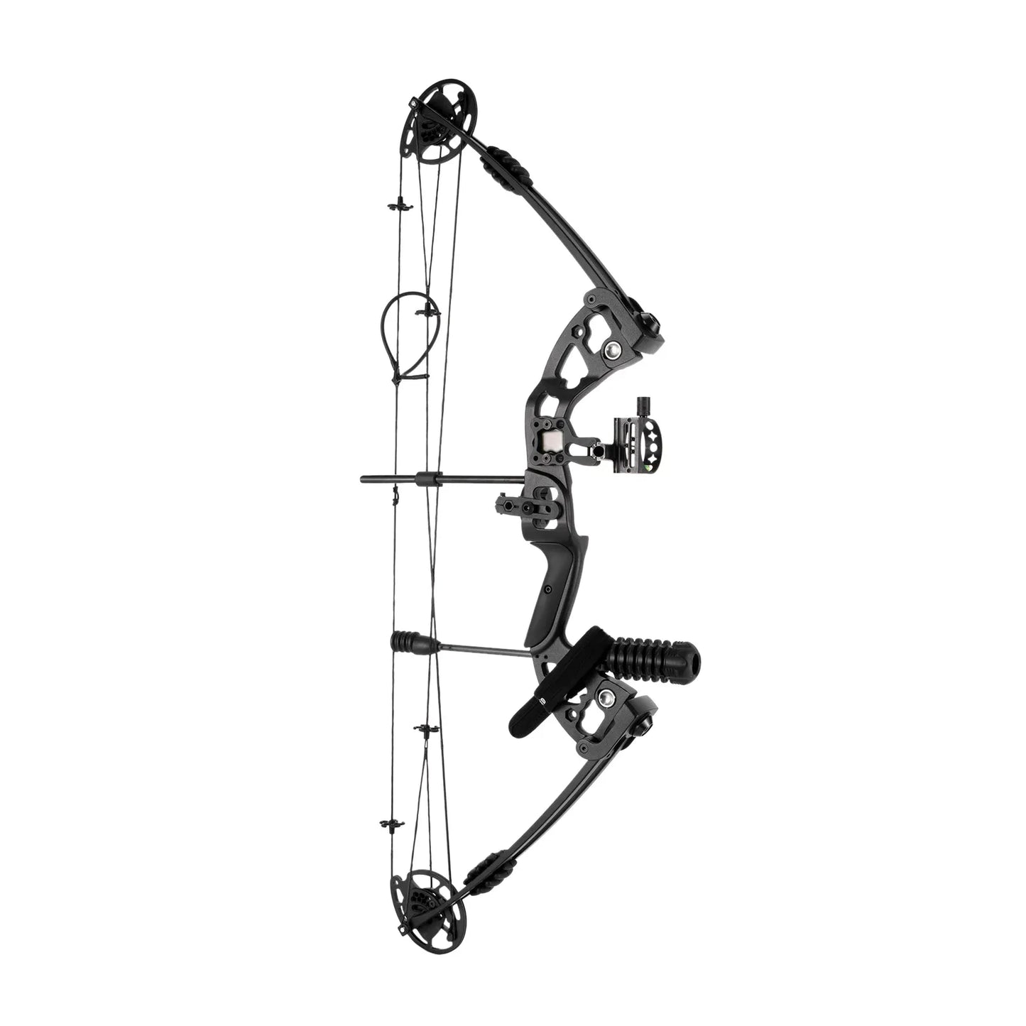 Compound Bow Adjustable Draw Weight and Length